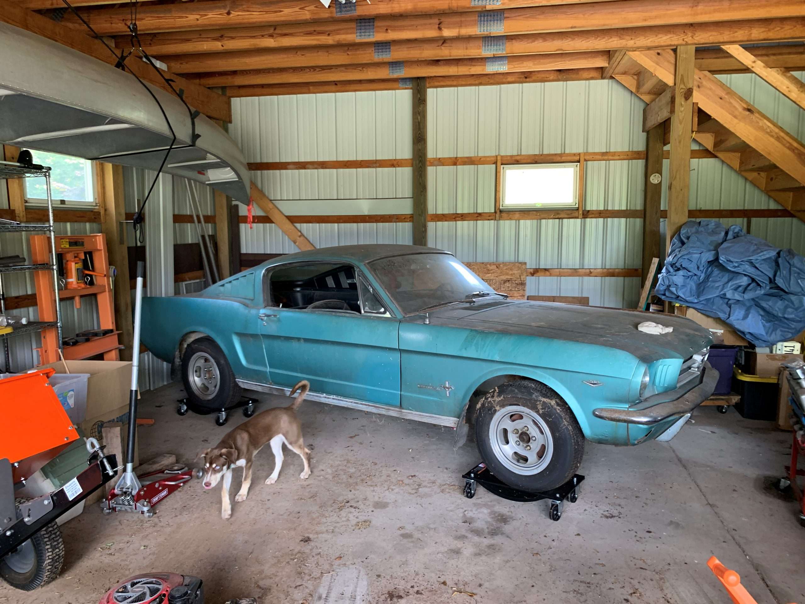 op Pops Mustang 2
